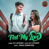 About Feel My Love Song